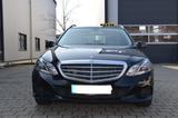 Mercedes-Benz E 200 E T-Modell E 200 BlueTec Taxi