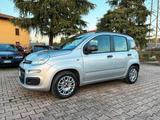 Fiat Panda 1.2 Easy OK NEOPATENTATI - gebrauchte Fiat Panda aus dem Jahr 2013