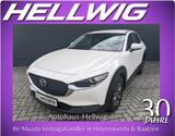Mazda CX-30 2.0l Navi Head-up LED MRCC 1.Hand