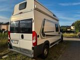Weinsberg Carabus 600 MQH - Weinsberg Kastenwagen