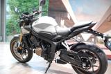Honda CB650R 6 Jahre Garantie,