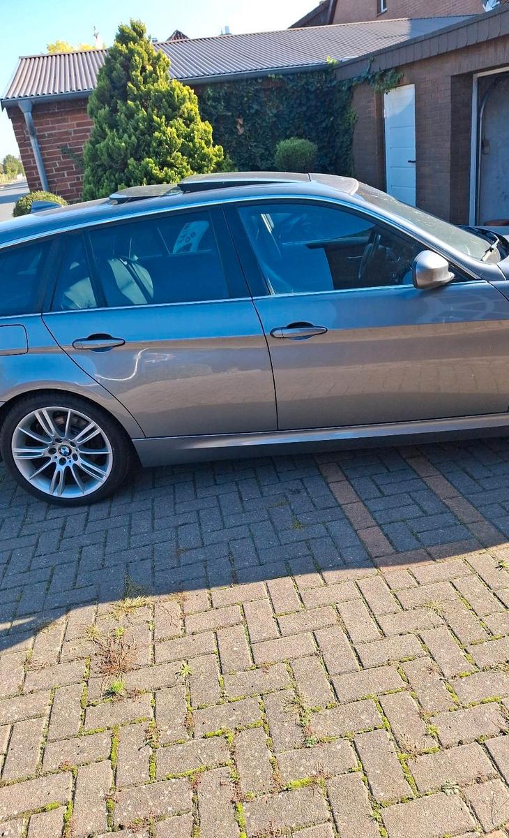 BMW 320 2010 — rear view