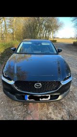 Mazda CX-30 2.0 SKYACTIV-G M-Hybrid 150 - - Mazda CX-30: Privatanbieter