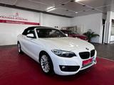 BMW 228i Cabrio//Autom//Kamera//Memory// - BMW 228 aus 2016