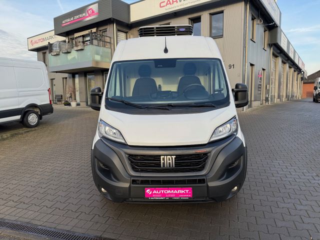 Fiat Ducato Maxi Kasten 35 180 L4H2 Kühlkasten