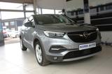 Opel Grandland X 1.6 Ultimate Aut. Leder/Navi/Kam/Ahk - Opel Grandland (X) Gebrauchtwagen in Berlin