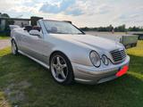 Mercedes-Benz CLK 320 Cabrio AMG Paket 18" Brabus Auspuf... - Mercedes-Benz CLK AMG Paket
