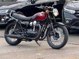 Kawasaki W 800 Bj 14 / 2Hd. NUR 5 TKM /Navi -Gepäckträger - KAWASAKI W1