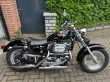 Harley-Davidson Sportster XLH 1200 Custom - HARLEY-DAVIDSON XLH 1200 SPORTSTER