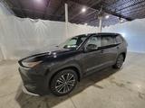 Toyota GRAND Platinum Max T1: 68.000 EURO - schwarze Toyota Highlander