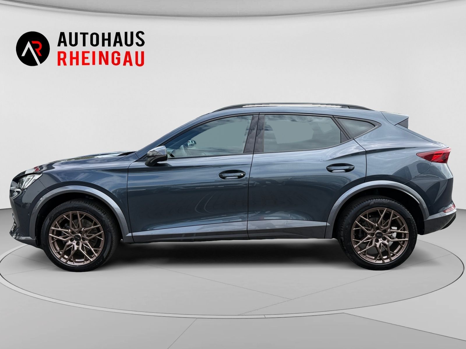 Fahrzeugabbildung CUPRA Formentor 2,0 TDI 4Drive DSG ACC RFK MEMORY