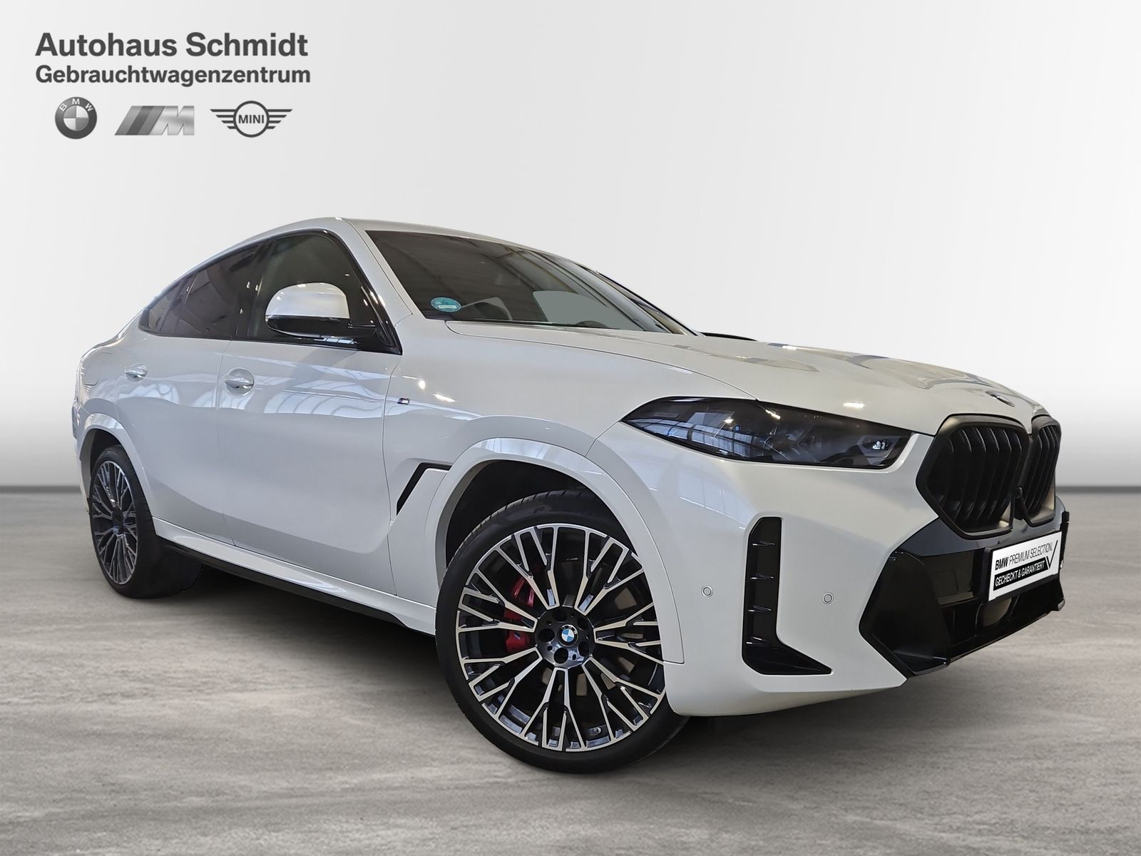 BMW X6 - Bild 6