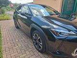 Lexus UX 250h Style Edition Style Edition - Lexus UX Gebrauchtwagen