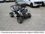 Adly 320 SM *LOF*Super Moto*Nerfbars*Gepäckträger* - QUAD VON 251 BIS 500 CCM