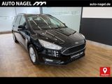 Ford Focus Turnier 1.0 Business Edition +NAVI+AHK+PDC - Ford Focus: Business Edition