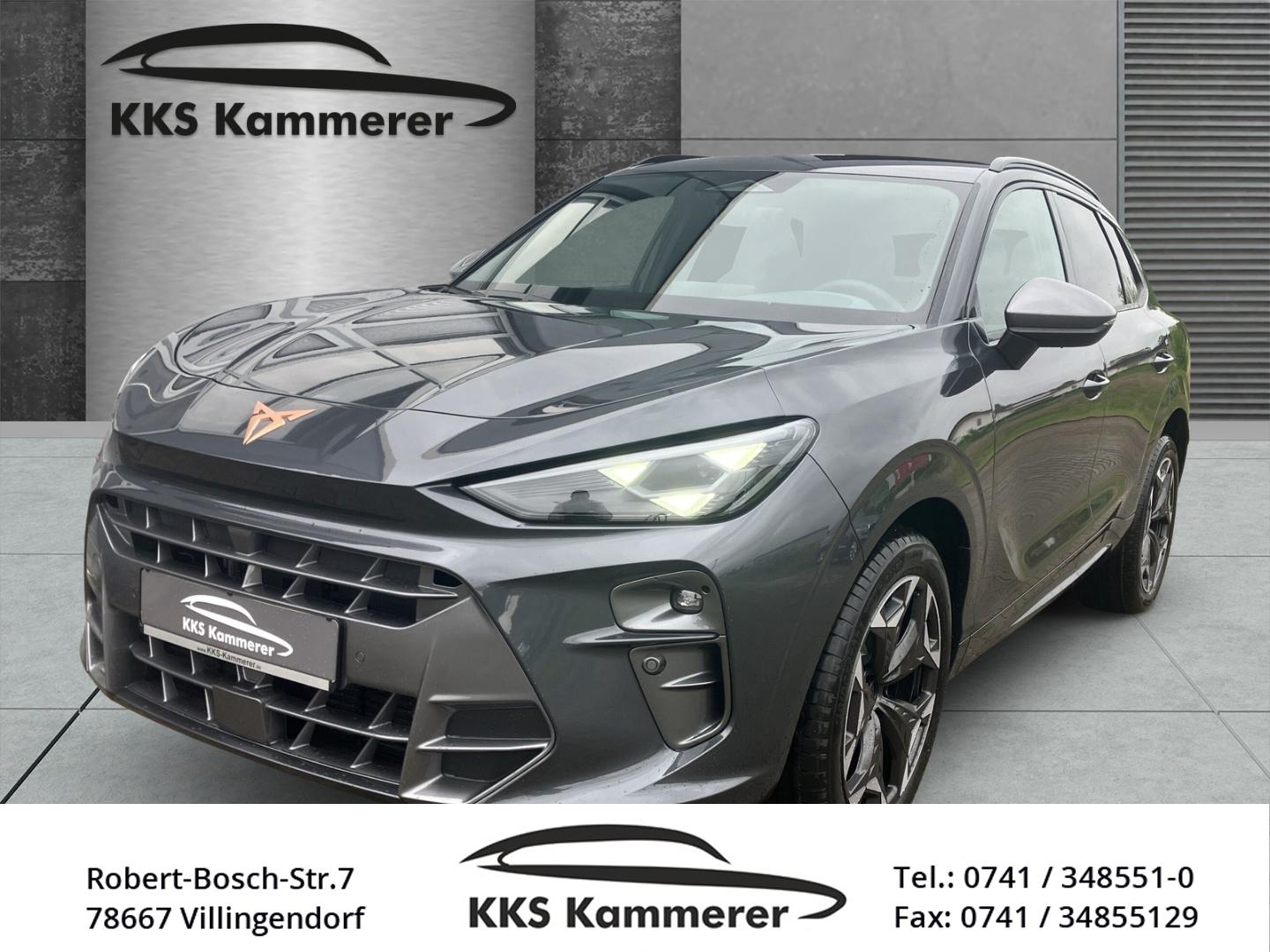 Cupra Terramar 2.0 TSI 4Drive VZ AHK HuD el. Heckkl. N