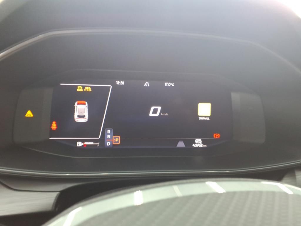 Cupra Formentor 2.0 TDI Tempo*Nav*PDC*RFK*SH