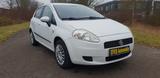 Fiat Punto 1.4 8V Active  Top Zustand 1.Hand - Fiat Punto: 1.4