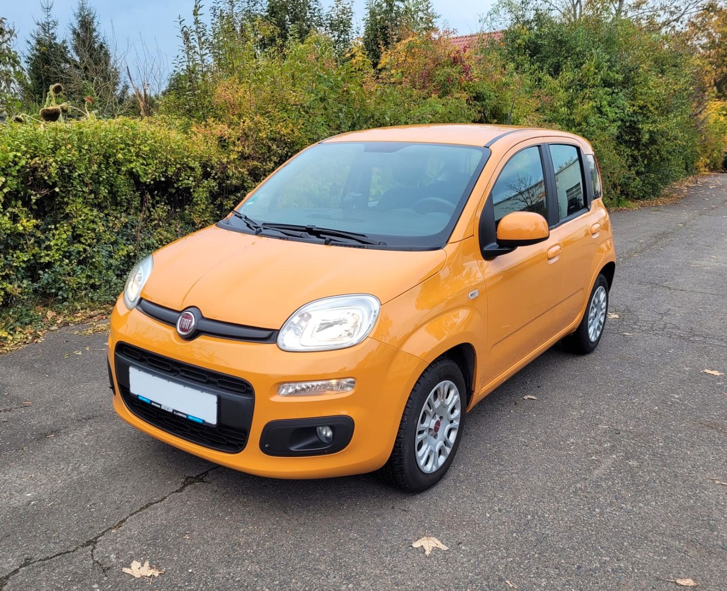 Fiat Panda (12/2020, Benzin)