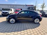 Volkswagen Beetle Lim. Fender Edition TOP ZUSTAND 2.HAND/SH - Volkswagen Beetle: Sportwagen