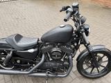 Harley-Davidson Iron 1200 schwarz Matt TOP  erst 1900km - Harley-Davidson Iron 1200