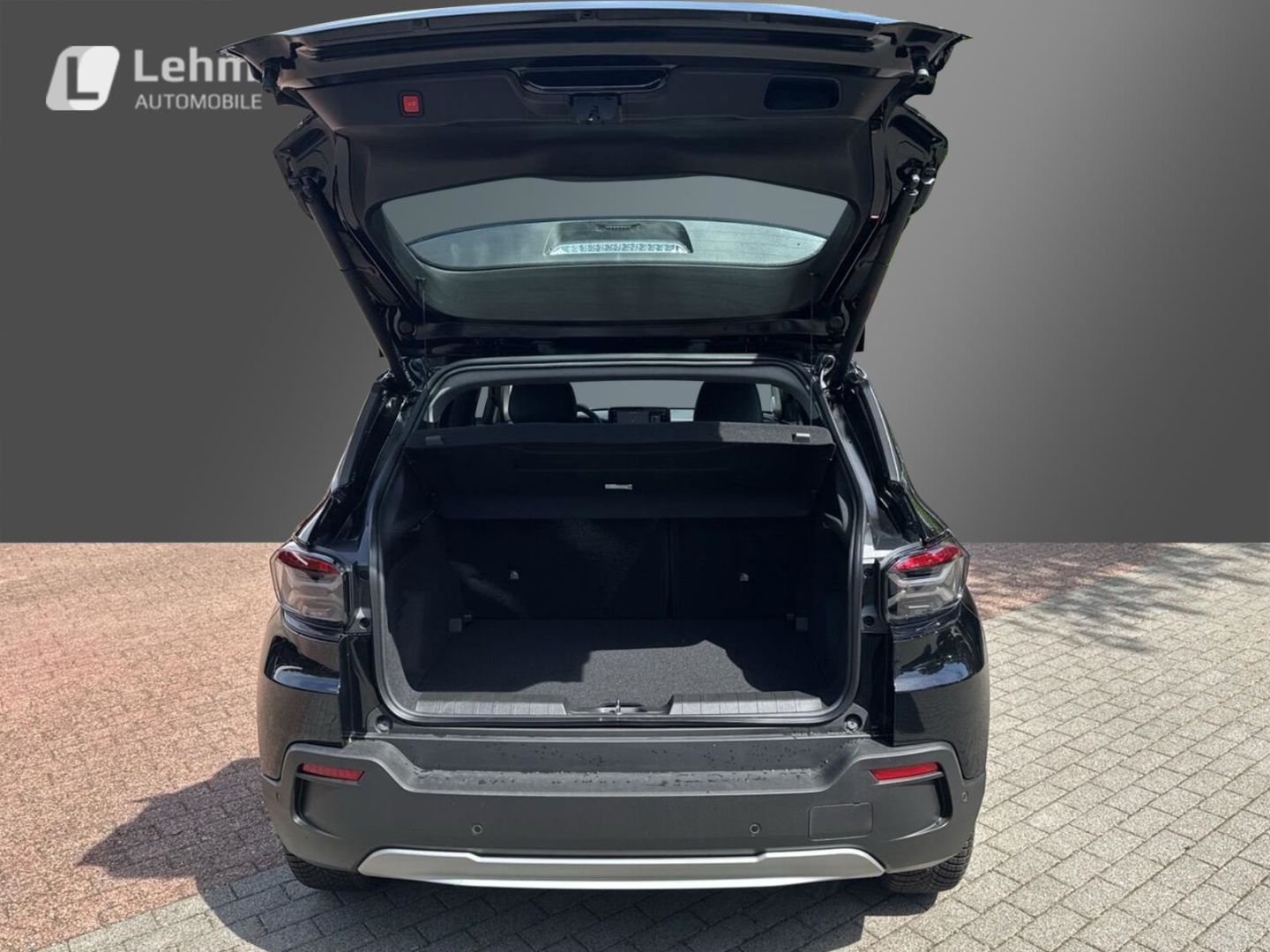 Fahrzeugabbildung Jeep Avenger Altitude Winterpaket Infotainment Paket