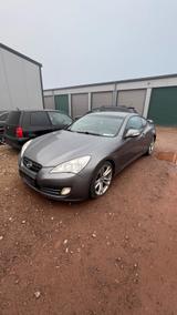 Hyundai Genesis Coupe 3.8 V6 - Hyundai Genesis mit Benzin-Antrieb: Sportwagen