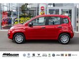 Fiat Panda MY25 Hybrid 1.0 GSE SOFORT CITY-PAKET TEMP - Fiat Panda: 1.2