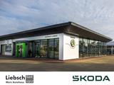 Skoda Kamiq Clever 1.0 TSI DSG Clima - SKODA Kamiq Leasingangebote für Privatpersonen