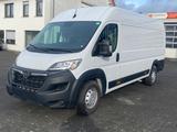 Opel MOVANO CARGO KASTEN L4H2 3,5t VERSTÄRKT PDC BT - Opel Movano: L2h2