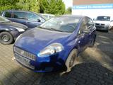 Fiat Punto 1.4 8V Active Klima HU&AU 07/2027 - Fiat Punto mit Benzin-Antrieb: Active