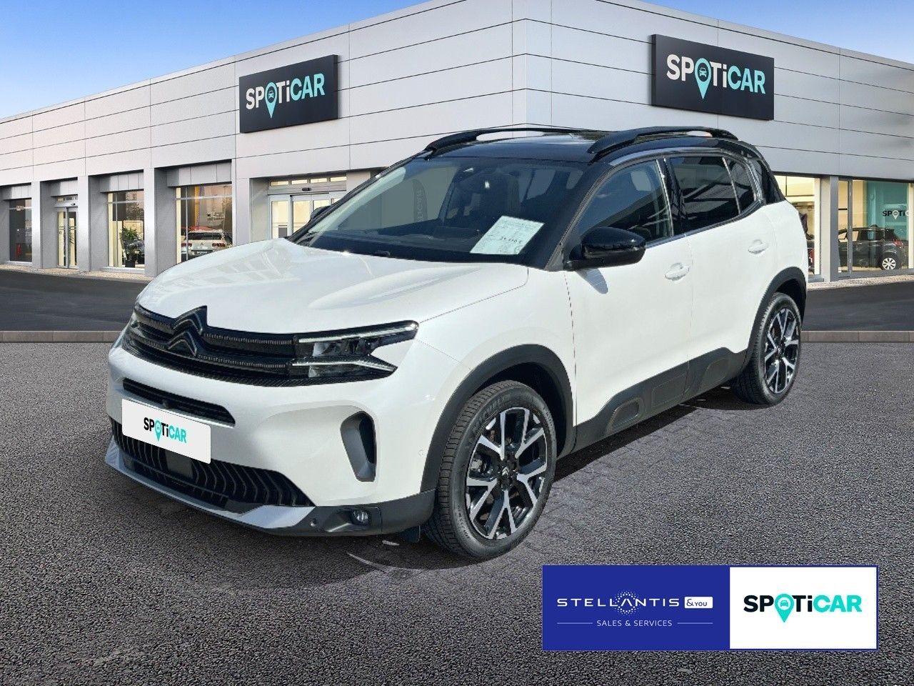 Citroën C5 Aircross Shine PT 130 EAT8 Glasdach Sitzheiz 