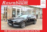 Mazda CX-30 Selection AWD*PDC*360C*HEAD-UP*GJR*NAVI*E6 - Mazda CX-30 Gebrauchtwagen in Hamburg