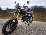 Triumph Scrambler 1200 Steve Mc Queen - TRIUMPH SCRAMBLER