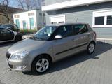 Skoda Fabia Fresh - Skoda Fabia Gebrauchtwagen in Magdeburg