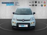 Fiat Panda MY24 Hybrid 1.0 GSE 70PS KLIMAANLAGE*RADIO - Fiat Panda mit Benzin-Antrieb: Kleinwagen, Klimaanlage