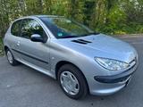 Peugeot 206 Petit Filou 60 TÜV bis 11/2026 - Peugeot 206: 1.6