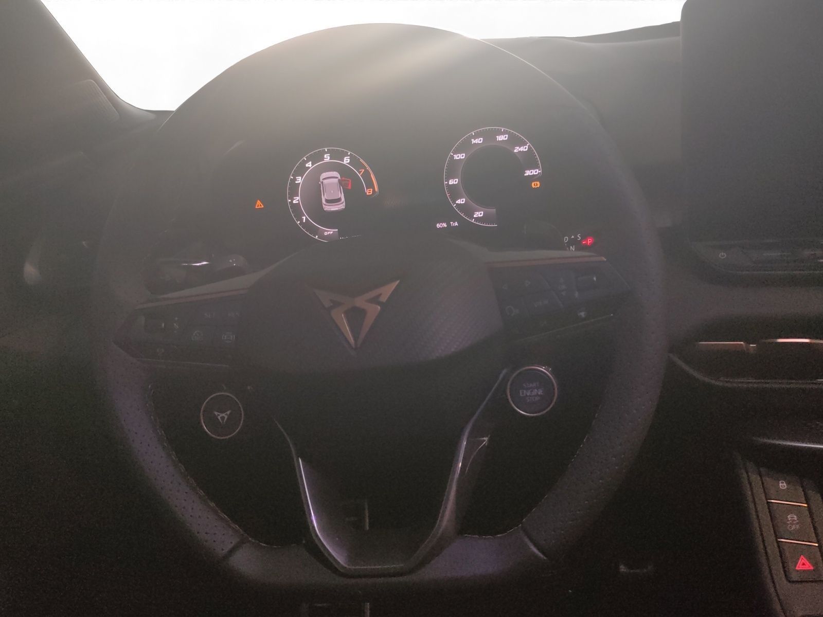Cupra Terramar - Bild 11