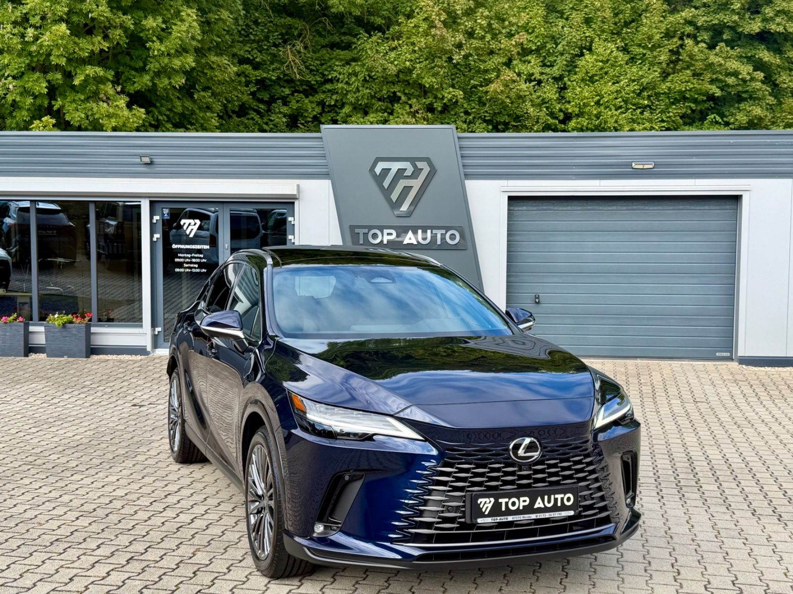 Lexus RX450h+E-Four Luxury.360 Kamera.AWD.P.Dach.ACC