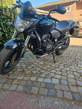 Honda Hornet 600 pc 41 - HONDA HORNET 600 PC41