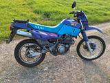 Yamaha XT 600 - Offers matching your search criteria