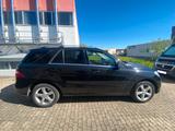 Mercedes-Benz ML 500 AMG + Designo 4-Matic - Mercedes-Benz: Firmenfahrzeug