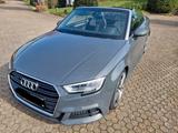 Audi A3 Cabrio 2.0 TDI quattro S Line sport - Audi A3 mit Diesel-Antrieb: Cabrio, Automatik
