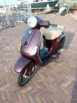 Vespa LX 50 4-Takt Sonderedition in Violett Plum BJ.05 - VESPA S 50 4T