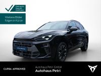 Cupra Terramar - Vorschau Bild 1