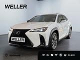 Lexus UX 300h F SPORT Design *LED*Kamera*SHZ*PDC v+h* - Lexus UX Neuwagen