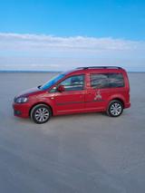 Volkswagen Caddy Tramper 1,2TSI (Campingausstattung) - Volkswagen Caddy: Tramper