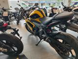 Triumph Daytona 660 sofort verfügbar - TRIUMPH DAYTONA