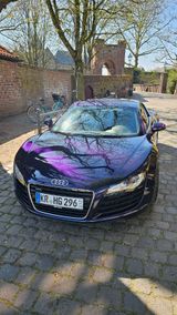 Audi R8 4.2 FSI R tronic quattro - - Audi R8 aus 2008