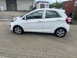 Kia Picanto Edition 7 - Kia Picanto Gebrauchtwagen in Düsseldorf